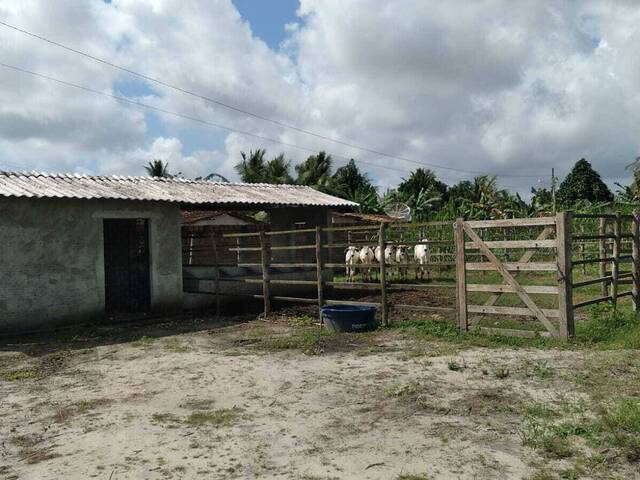 Fazenda para Venda em Canguaretama - 5