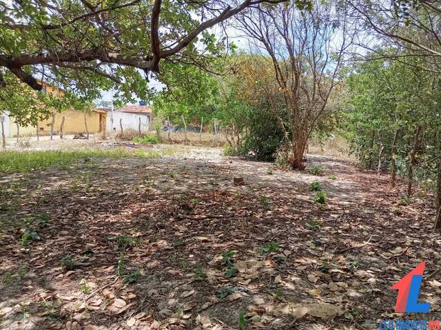 Terreno para Venda em Tibau do Sul - 5