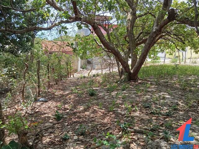 Terreno para Venda em Tibau do Sul - 4