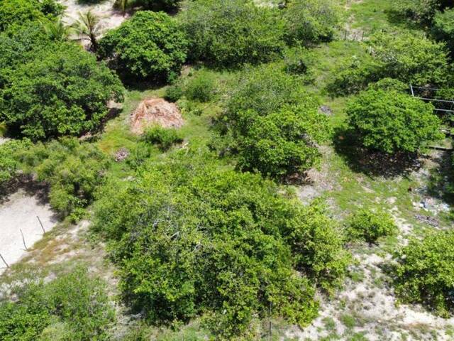 #T-380 - Terreno para Venda em Tibau do Sul - RN