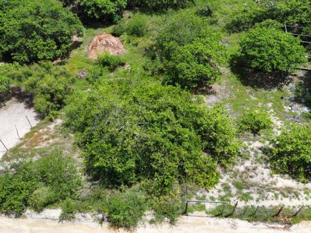 #T-380 - Terreno para Venda em Tibau do Sul - RN