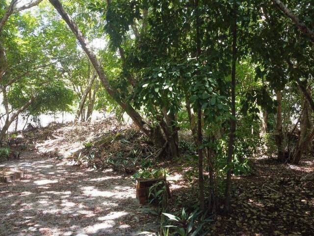 Terreno para Venda em Tibau do Sul - 5