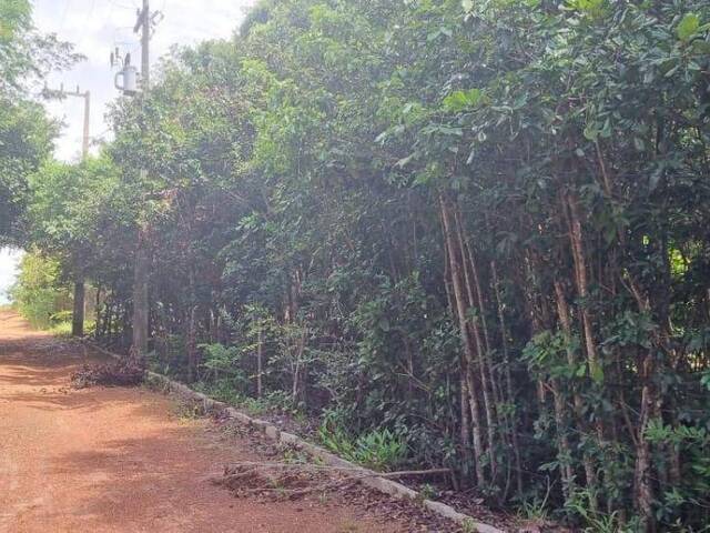 Terreno para Venda em Tibau do Sul - 5