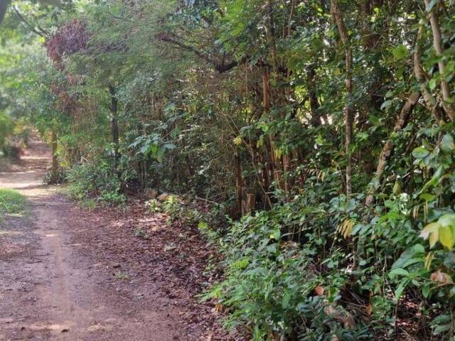 Terreno para Venda em Tibau do Sul - 4