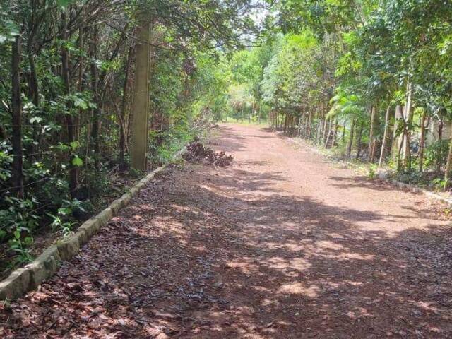 #T-395 - Terreno para Venda em Tibau do Sul - RN
