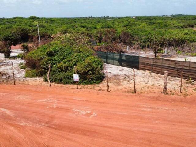 Terreno para Venda em Tibau do Sul - 4