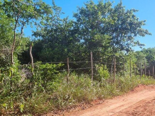 Terreno para Venda em Tibau do Sul - 4