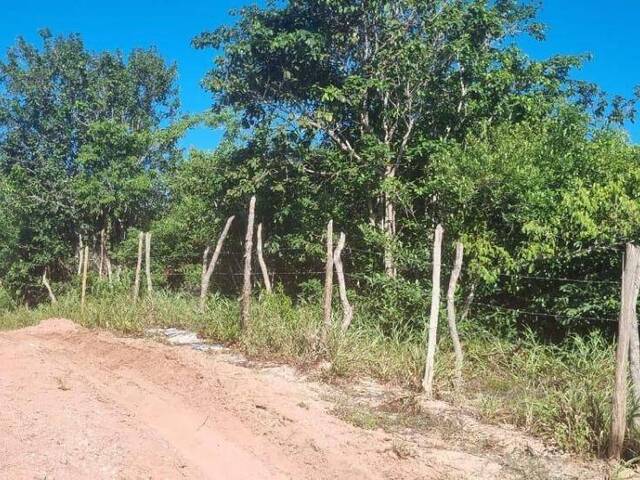 #T-390 - Terreno para Venda em Tibau do Sul - RN