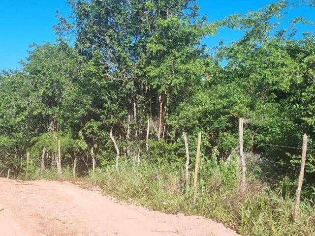 #T-390 - Terreno para Venda em Tibau do Sul - RN
