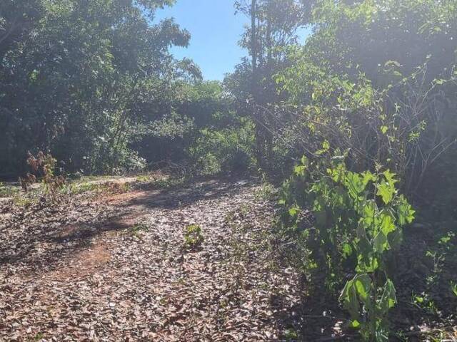Terreno para Venda em Tibau do Sul - 5