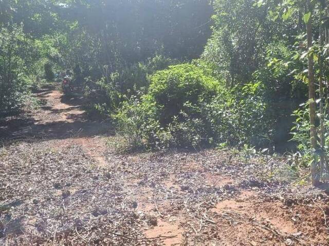 Terreno para Venda em Tibau do Sul - 4