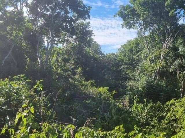Terreno para Venda em Tibau do Sul - 3