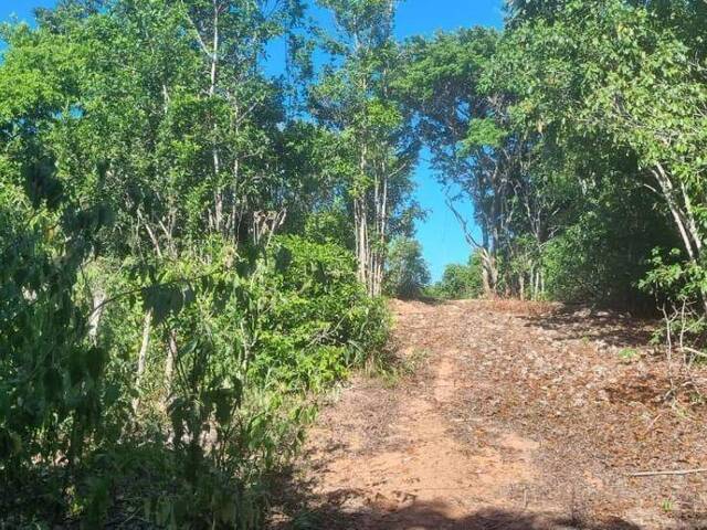Terreno para Venda em Tibau do Sul - 2