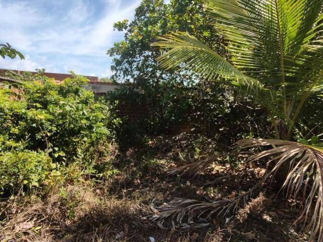 #T-365 - Terreno para Venda em Tibau do Sul - RN