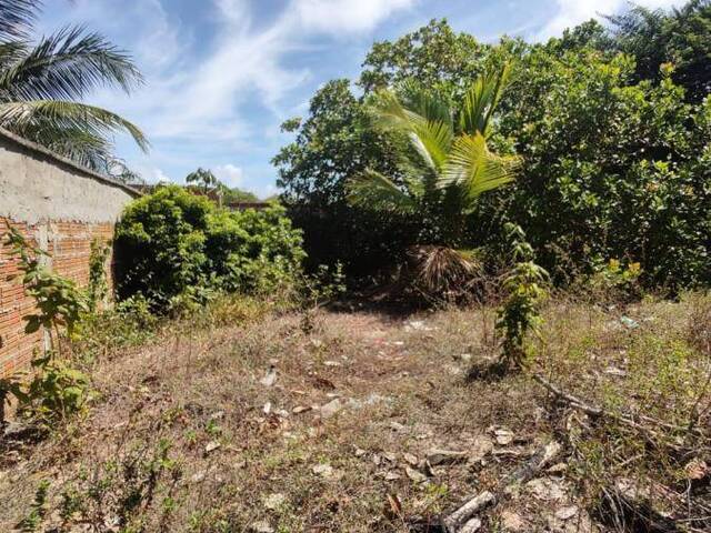 Terreno para Venda em Tibau do Sul - 5