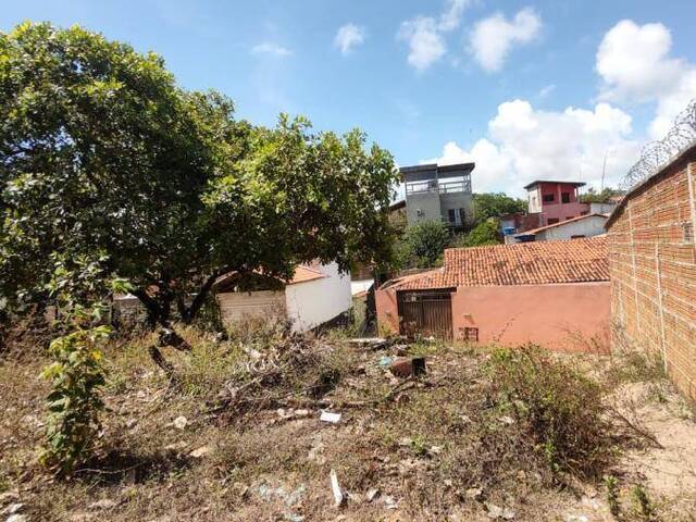 #T-365 - Terreno para Venda em Tibau do Sul - RN