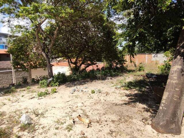 Terreno para Venda em Tibau do Sul - 4
