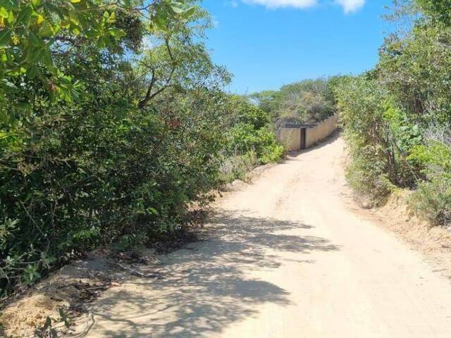 Terreno para Venda em Tibau do Sul - 2