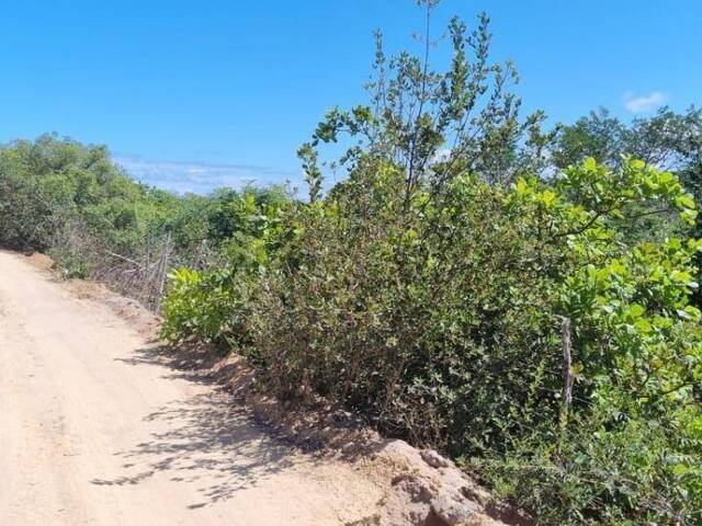 Terreno para Venda em Tibau do Sul - 3