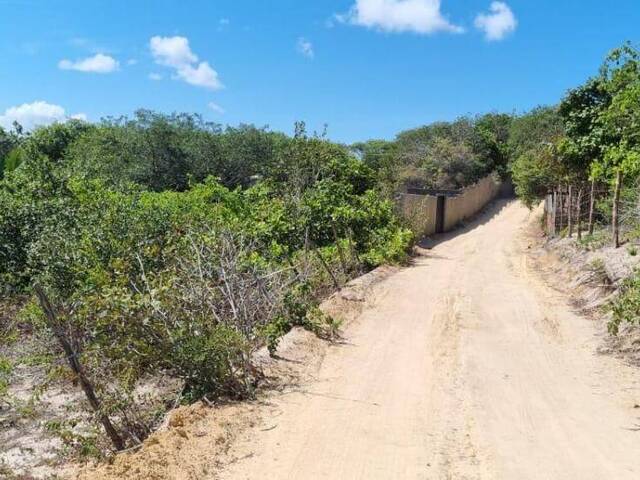 Terreno para Venda em Tibau do Sul - 4