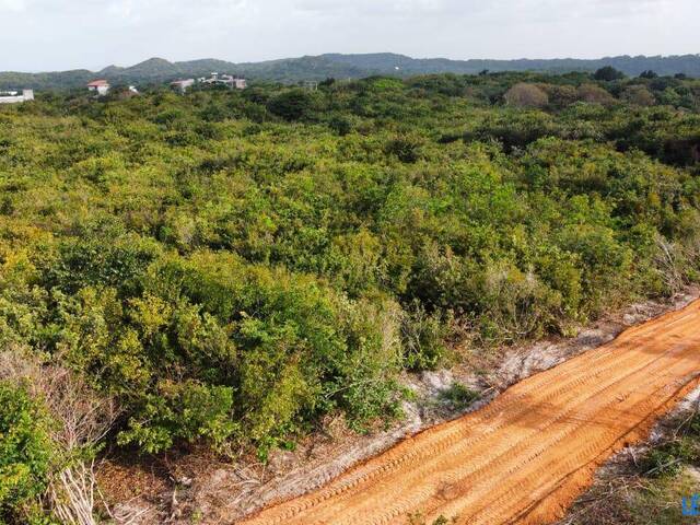 Terreno para Venda em Tibau do Sul - 4