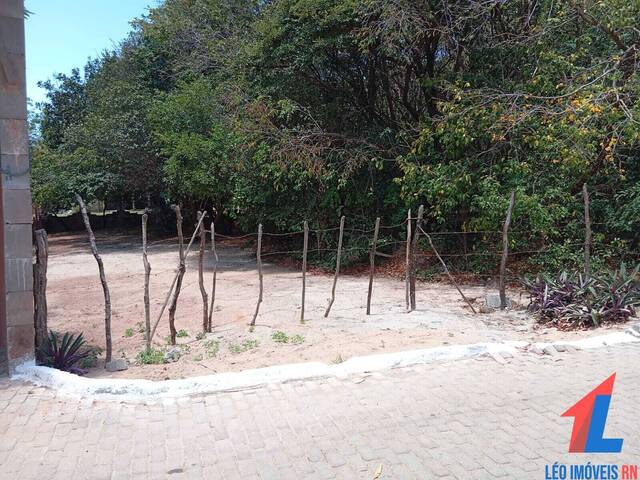 Terreno para Venda em Tibau do Sul - 4
