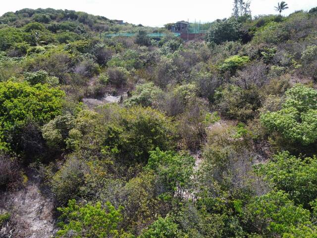 Terreno para Venda em Tibau do Sul - 4