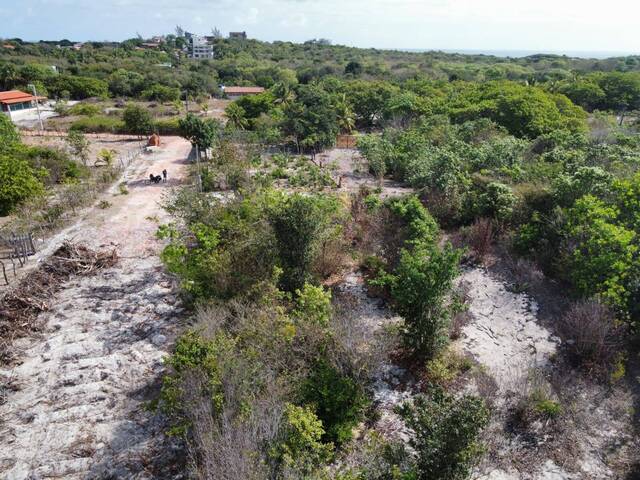 Terreno para Venda em Tibau do Sul - 5