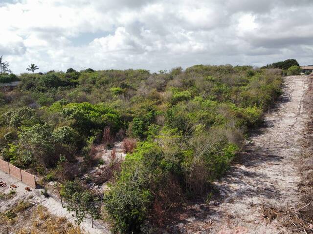 Venda em Praia da Pipa - Tibau do Sul