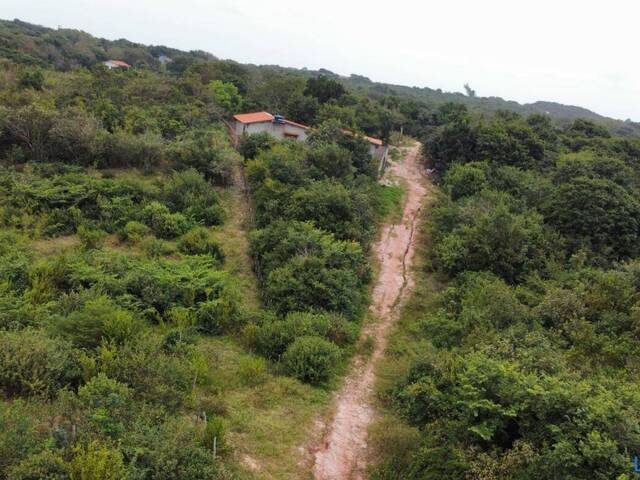 Terreno para Venda em Tibau do Sul - 4