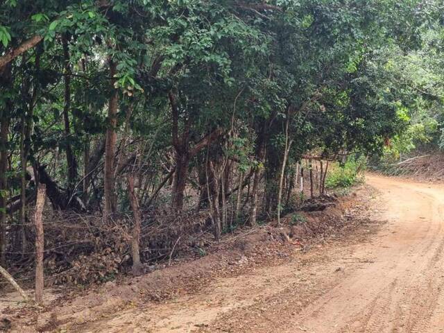 Terreno para Venda em Tibau do Sul - 5