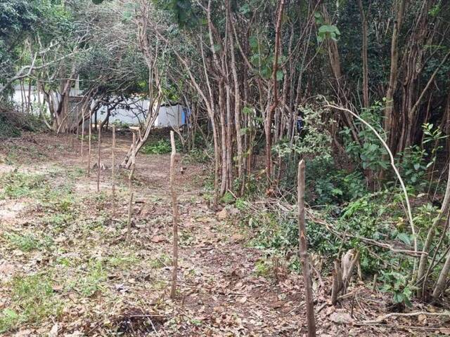 Terreno para Venda em Tibau do Sul - 4