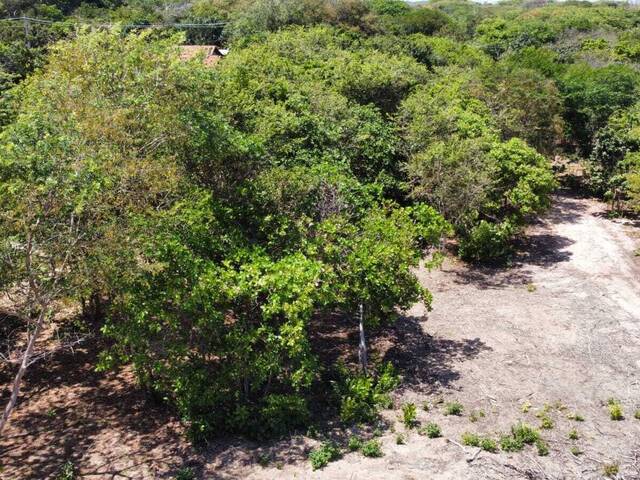 #T-471 - Terreno para Venda em Tibau do Sul - RN
