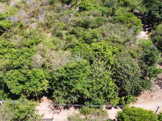Terreno para Venda em Tibau do Sul - 4