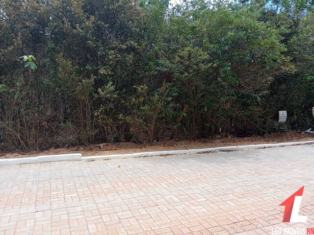 #T-083 - Terreno para Venda em Tibau do Sul - RN