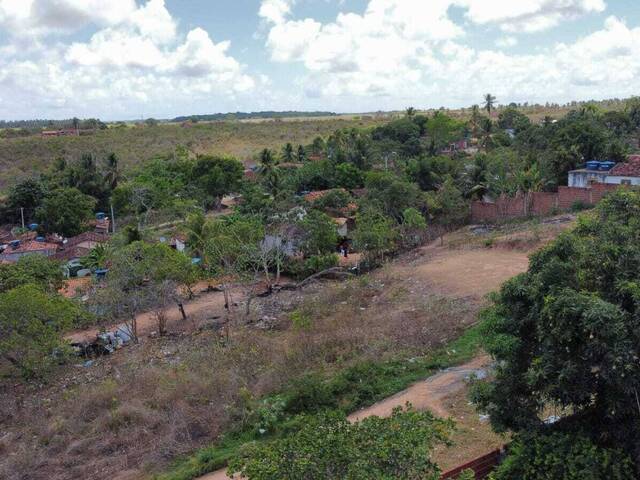Terreno para Venda em Tibau do Sul - 5