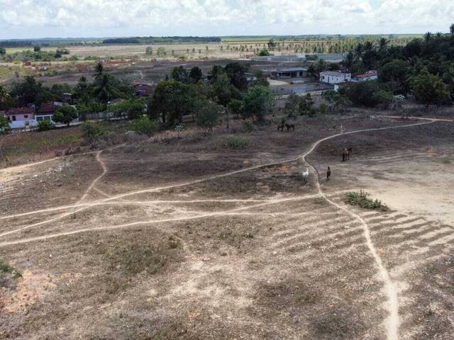 Terreno para Venda em Tibau do Sul - 5