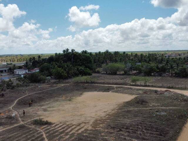 Terreno para Venda em Tibau do Sul - 4