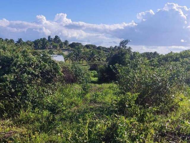 #T-200 - Terreno para Venda em Tibau do Sul - RN