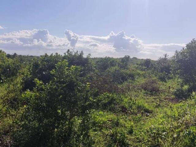 #T-200 - Terreno para Venda em Tibau do Sul - RN