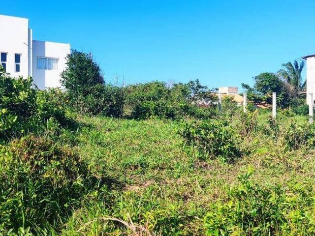 Terreno para Venda em Tibau do Sul - 4