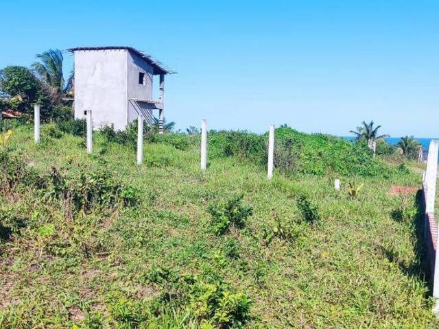 Terreno para Venda em Tibau do Sul - 5