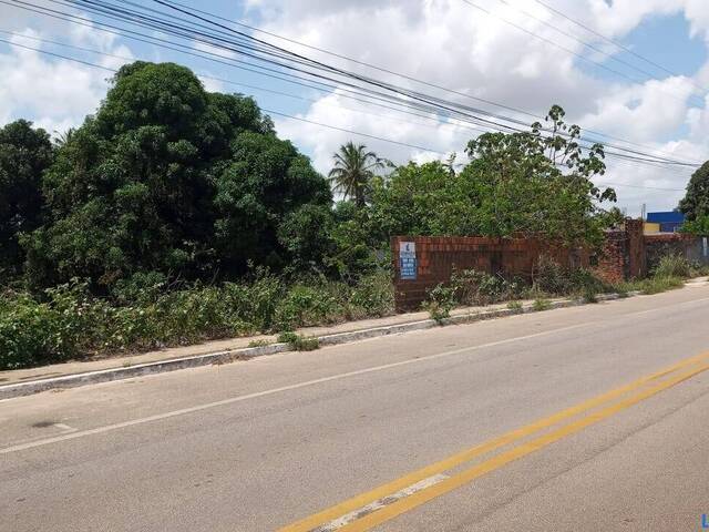 Terreno para Venda em Canguaretama - 5