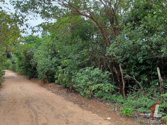 #T-189 - Terreno para Venda em Tibau do Sul - RN