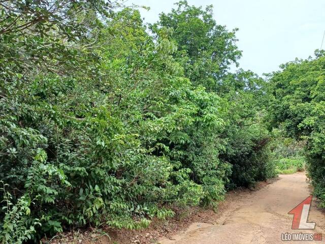 #T-189 - Terreno para Venda em Tibau do Sul - RN