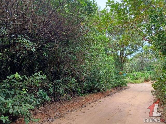 Terreno para Venda em Tibau do Sul - 5