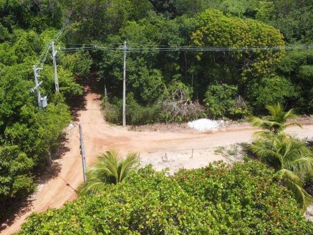 #T-173 - Terreno para Venda em Tibau do Sul - RN