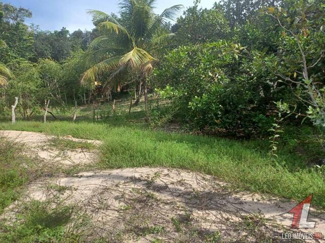 #T-173 - Terreno para Venda em Tibau do Sul - RN