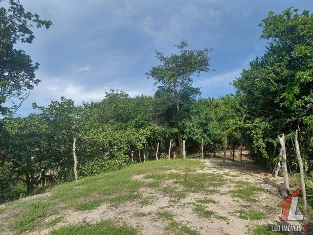 Terreno para Venda em Tibau do Sul - 4