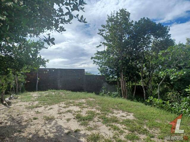 Terreno para Venda em Tibau do Sul - 5